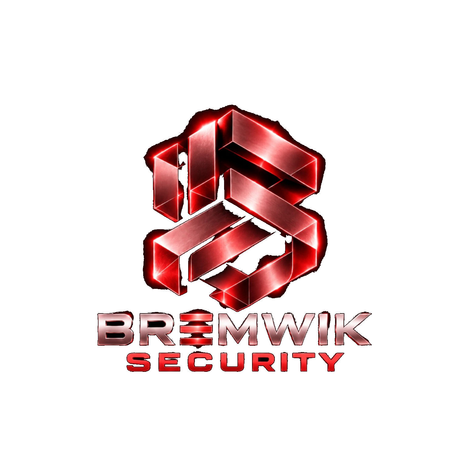 Security division logo